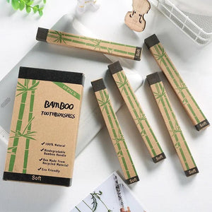 Natural Bamboo Toothbrush Set - The Trendy